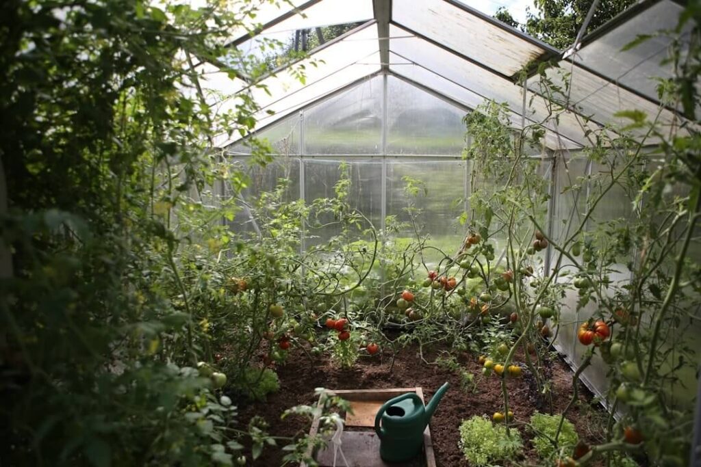 Indoor greenhouse with potted plants and gardening tools.