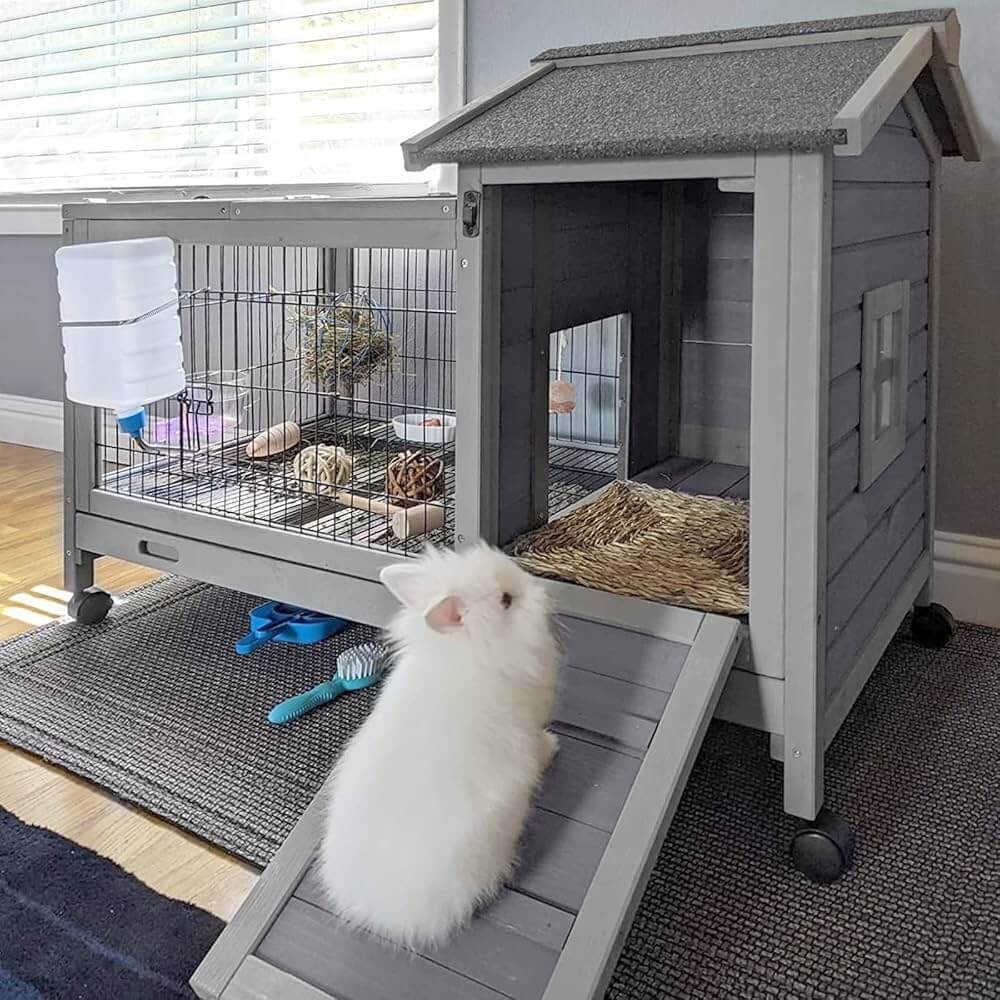 Clean rabbit habitat with fresh hay and litter box in Charlottesville, VA