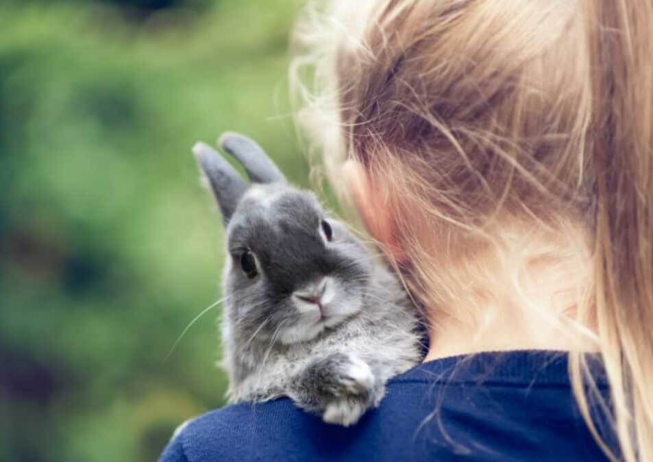 Megan holding a bunny for rabbit pet sitting in Charlottesville, VA