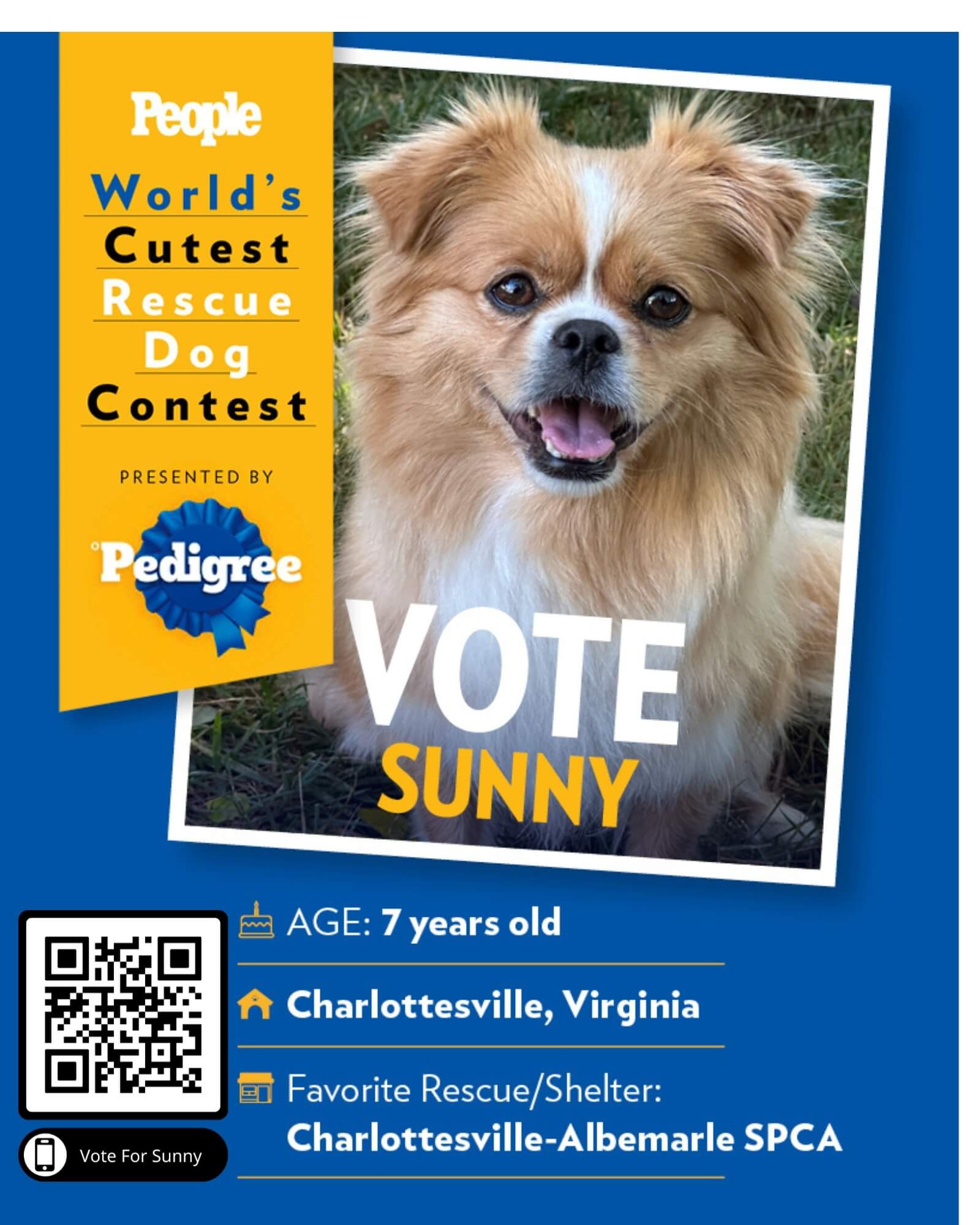 Sunny, a Charlottesville rescue dog and Megan's Pet Sitting client, finalist in People's 2026 World's Cutest Rescue Dog Contest